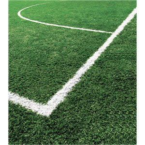 Line Master Marking Machine